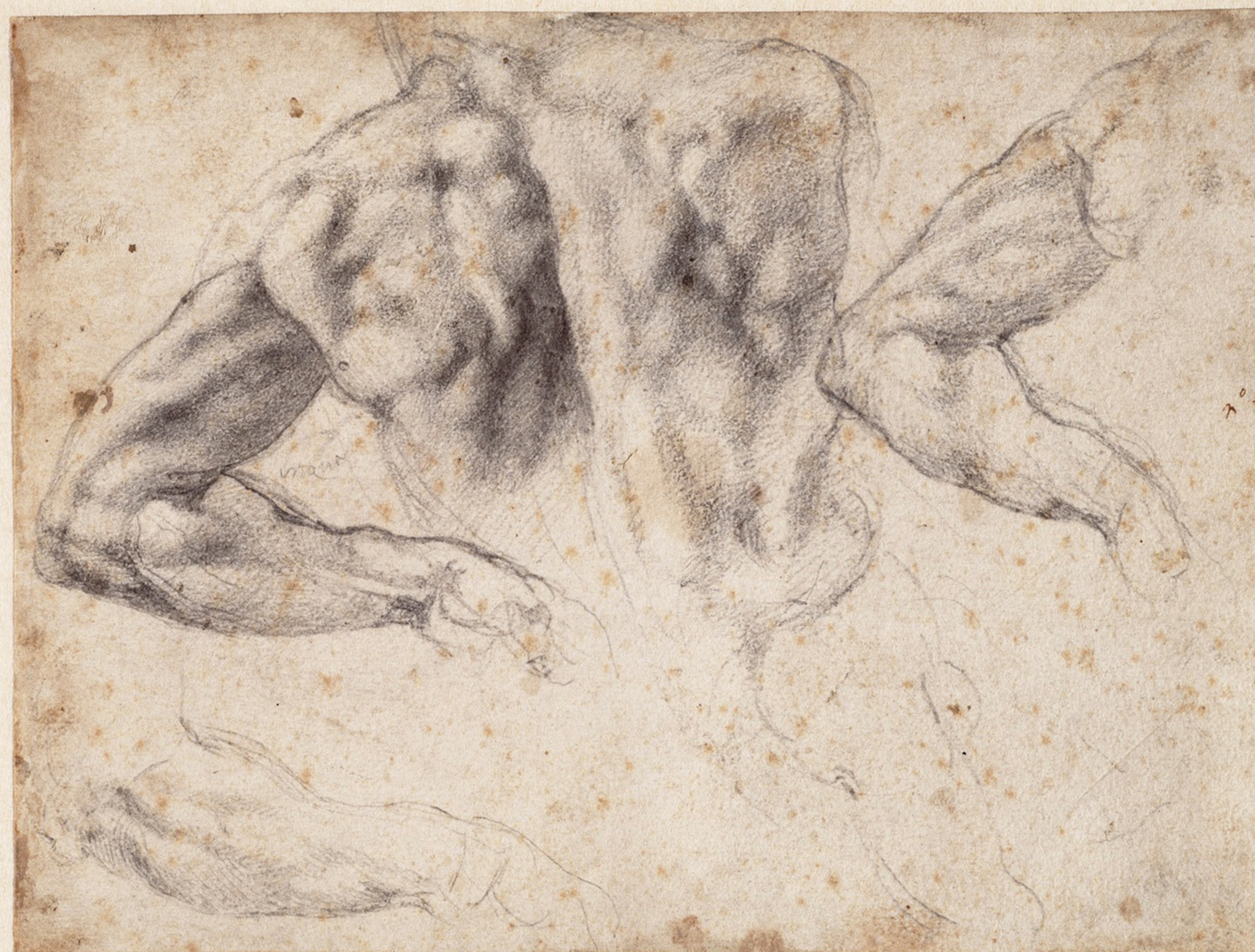 Michelangelo Buonarrotti, Ontwerptekening voor de Dag (schouderpartij), ca. 1525, Teylers Museum, Haarlem