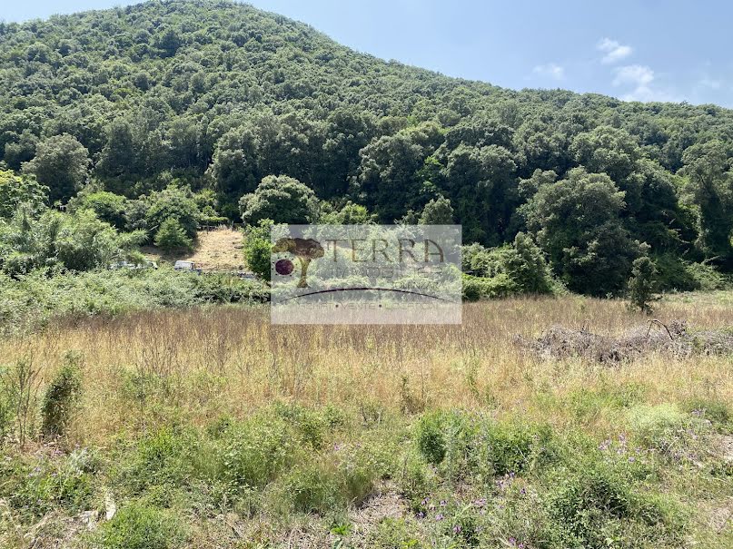 Vente terrain  1100 m² à Serra-di-Fiumorbo (20243), 131 000 €