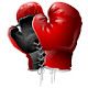 Boxing MMA HD Wallpapers New Tab Theme