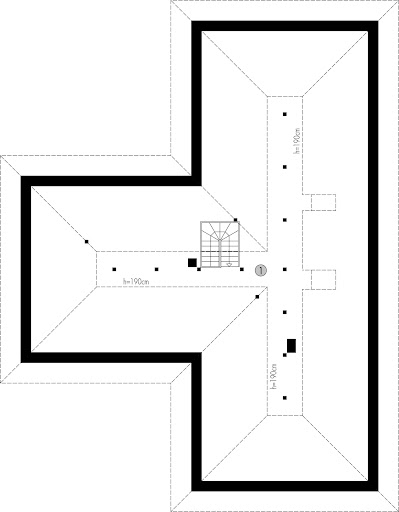 Dom Parterowy 2 - Rzut strychu