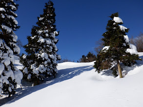 締まった雪で気持ちよく