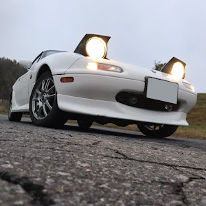 ロードスター NA8C