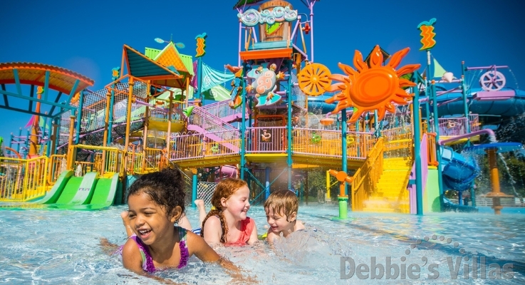 Winter Water Park Delight