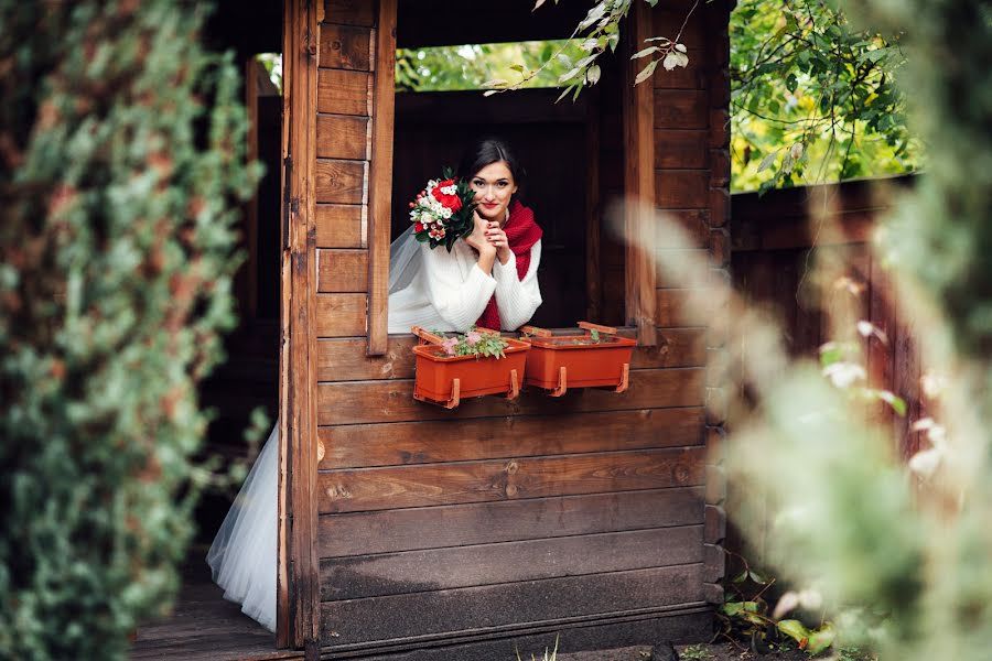 Wedding photographer Alena Ageeva (amataresy). Photo of 27 January 2016