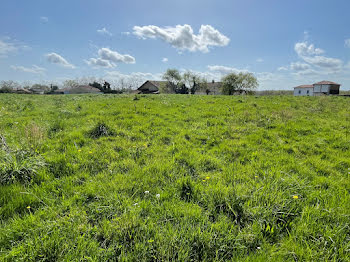 terrain à Garrey (40)