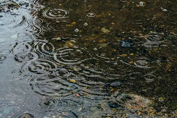 水たまり