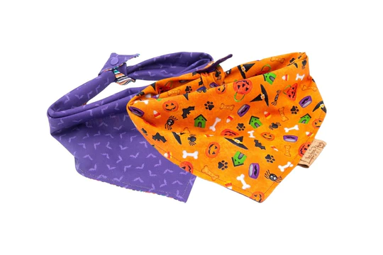 dog bandana