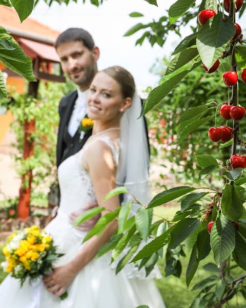 Fotografo di matrimoni Beáta Sebestyén (sebestyenbeata). Foto del 1 giugno 2023