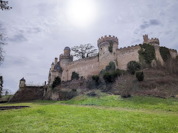 château à Veauce (03)