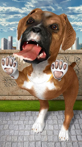 Licking dog, licking cat, animals licking screen