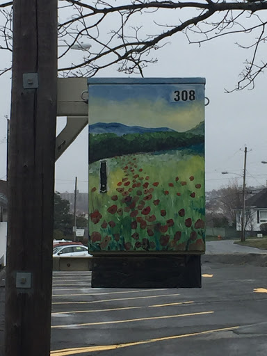 Poppy Fields Power Box