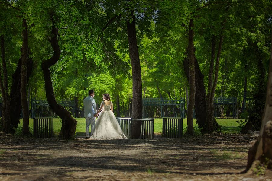 Svatební fotograf Ali Sak (aswed). Fotografie z 10.října 2017