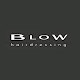 Download Blow Hairdressing For PC Windows and Mac 3.5