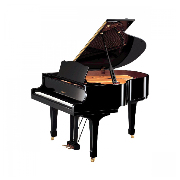 Grand Kawai KG6C mang đến cho người chơi những trải nghiệm âm thanh tốt ở nơi rộng lớn. 