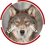 Cover Image of Download Lone Wolf - Fire Wallpaper 2.0 APK