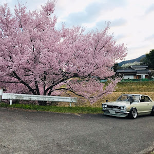 スカイライン