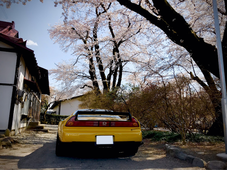 NSXの花見ドライブ・沼田公園に関するカスタム事例の投稿画像1枚目