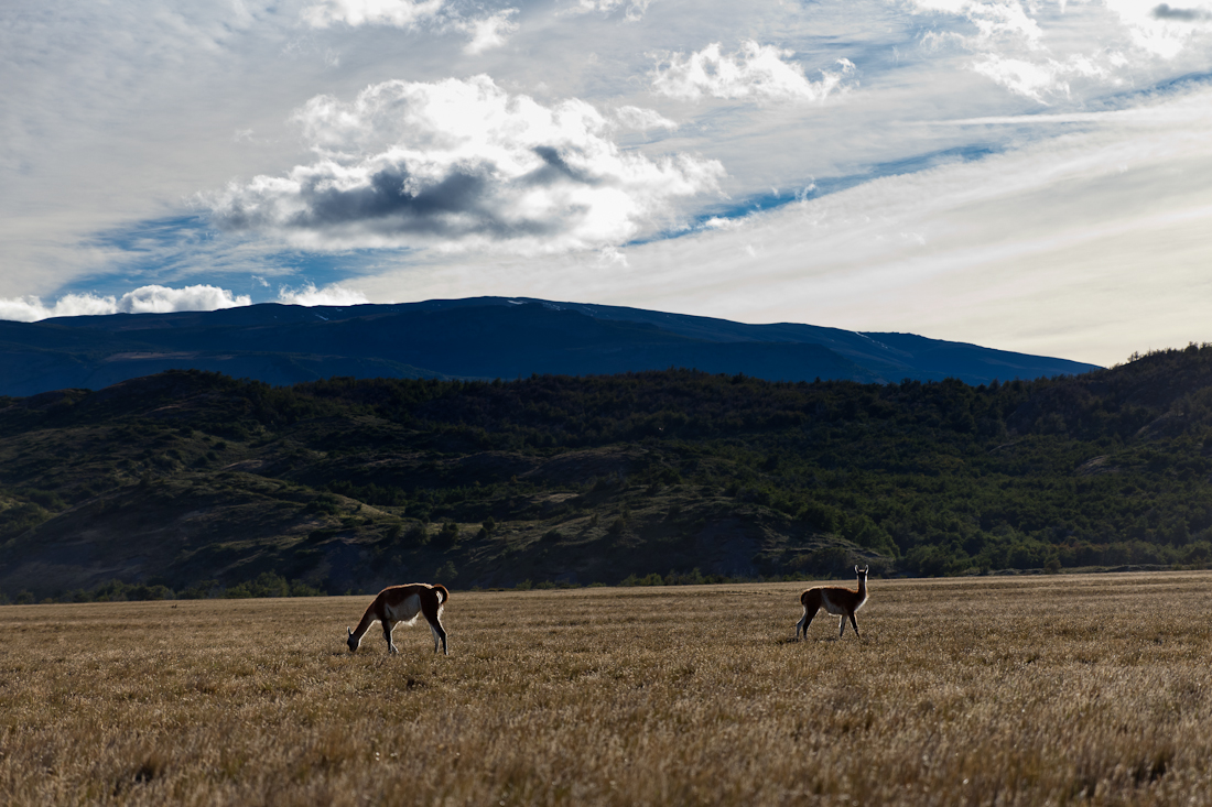 Патагония: Carretera Austral - Фицрой - Торрес-дель-Пайне. Треккинг, фото.