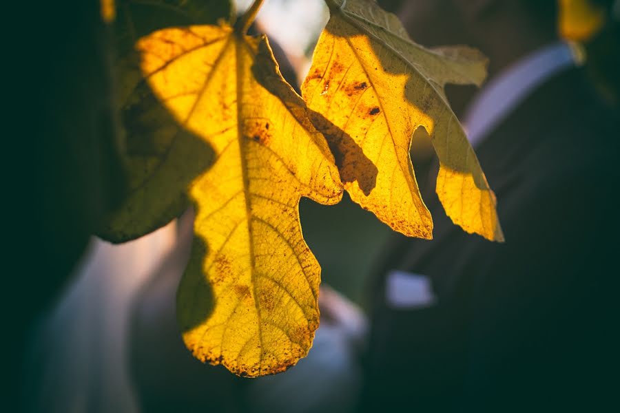 Wedding photographer Paolo Ferrera (paoloferrera). Photo of 11 October 2017