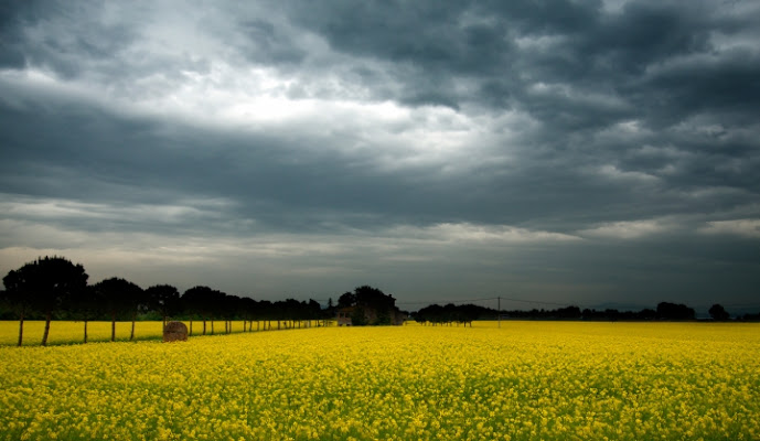 Tempesta in Giallo di Luca Capobianco