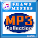 Download shawn mendes mp3 For PC Windows and Mac 1.0
