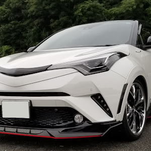 C-HR ZYX10