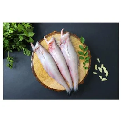 Bombay Duck (Bombil) Cleaned - 1 kg