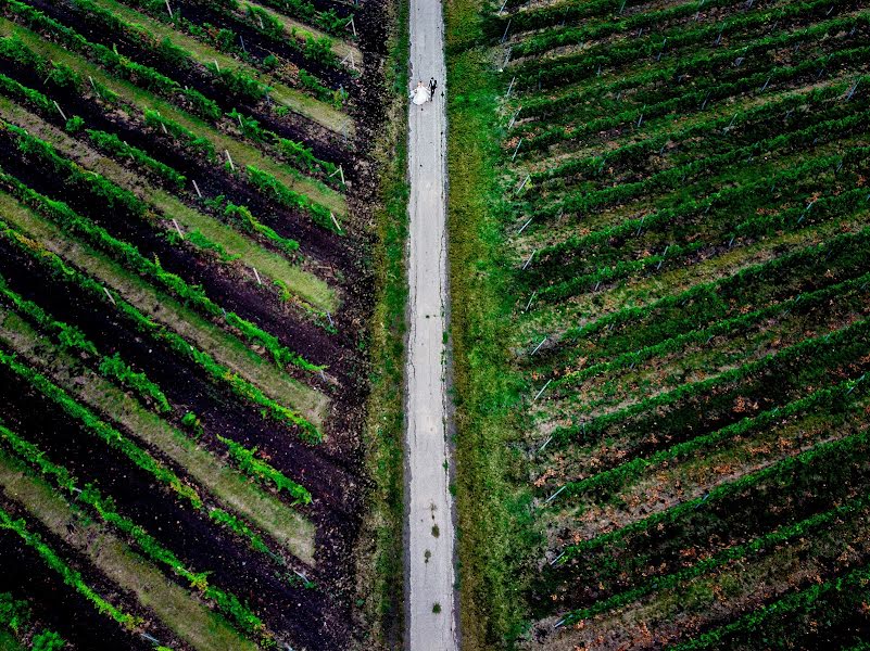 Düğün fotoğrafçısı Miloš Nejezchleb (milosnejezchle). 25 Ekim 2019 fotoları