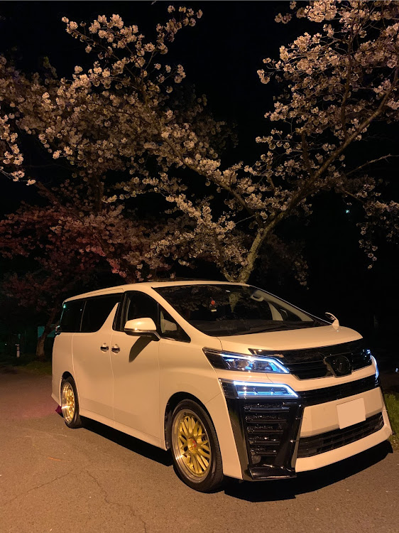 ヴェルファイアのヴェルファイア・車高調・過去写に関するカスタム事例の投稿画像1枚目