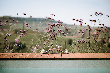 Wedding photographer Bianca Raineri (biancaraineri). Photo of 10 January 2023