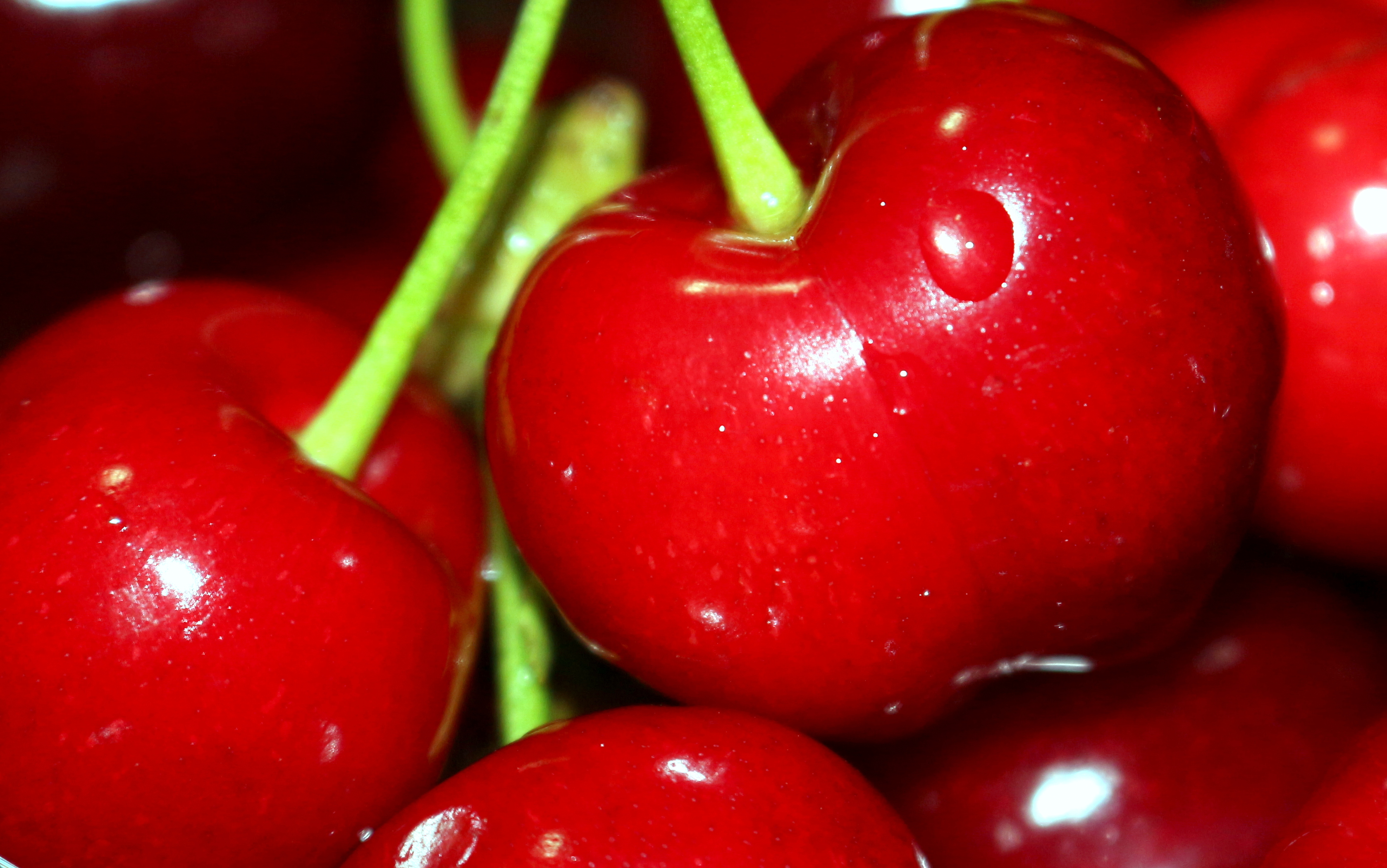 Cherries di francesca_smaldino