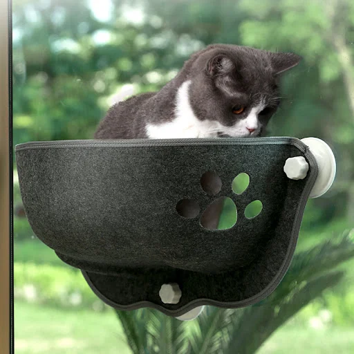 images slider number - 2