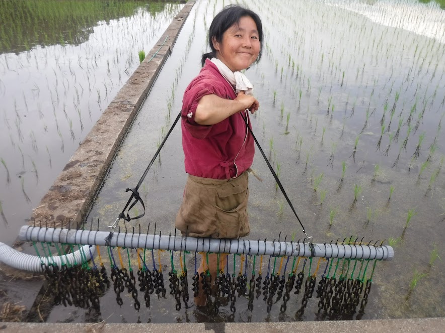 これが自作チェーン除草機