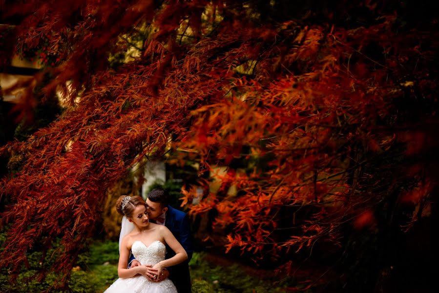 Fotógrafo de casamento Norbert Gubincsik (norbertgubincsi). Foto de 21 de novembro 2017