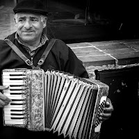 Accordion di 