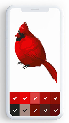 Birds Color By Number, pixel bird coloring