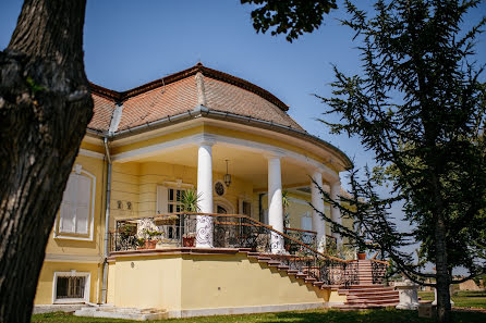 Fotografer pernikahan Ninoslav Stojanovic (ninoslav). Foto tanggal 14 September 2018