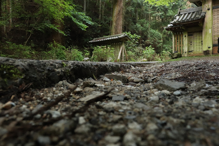 フィットの談山神社 東大門・ボランティア活動・談山神社 宿泊計画🤣に関するカスタム事例の投稿画像5枚目