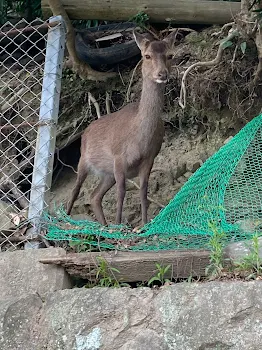 なんか作りたい欲求が出たから作った続きは作るかわからん