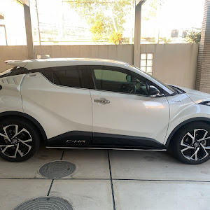 C-HR ZYX10