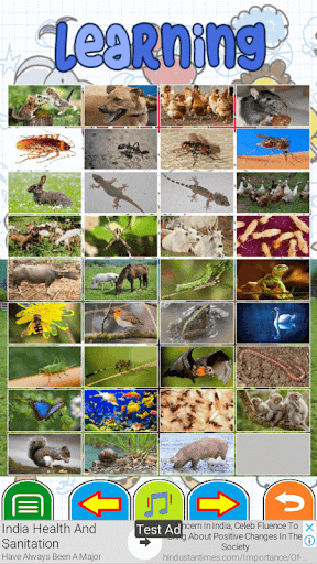 Screenshot Animals Puzzle Games