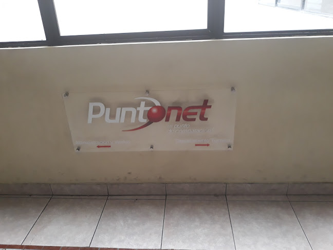 Puntonet