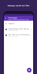 Web to Image Nice Saver - náhled