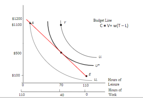 $1200 $1100 Budget Line C = V+ WIT-L) $500 $100 70110 Hours of Leisure Hours of Work