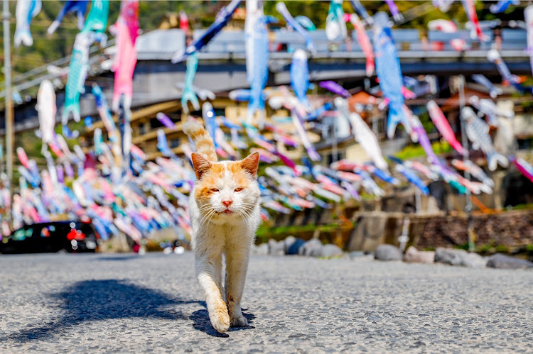 の投稿画像3枚目