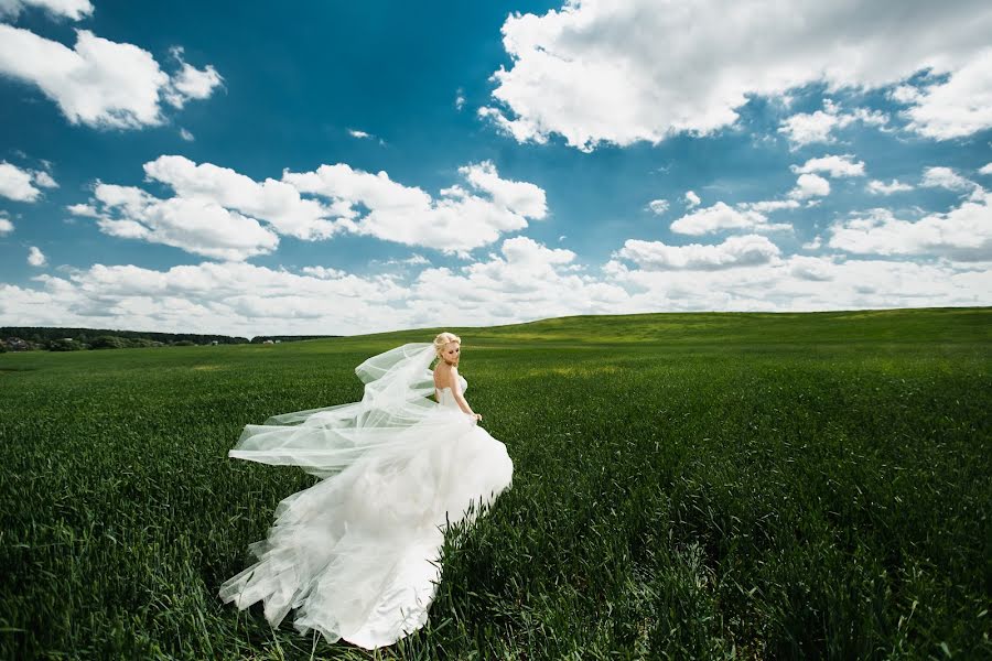 Wedding photographer Viktoriya Petrenko (vi4i). Photo of 24 August 2016