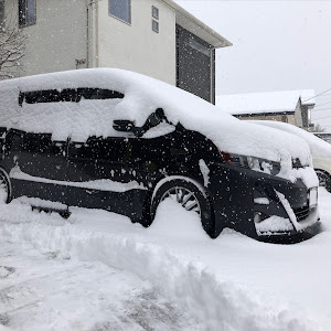 ヴォクシー ZRR80W