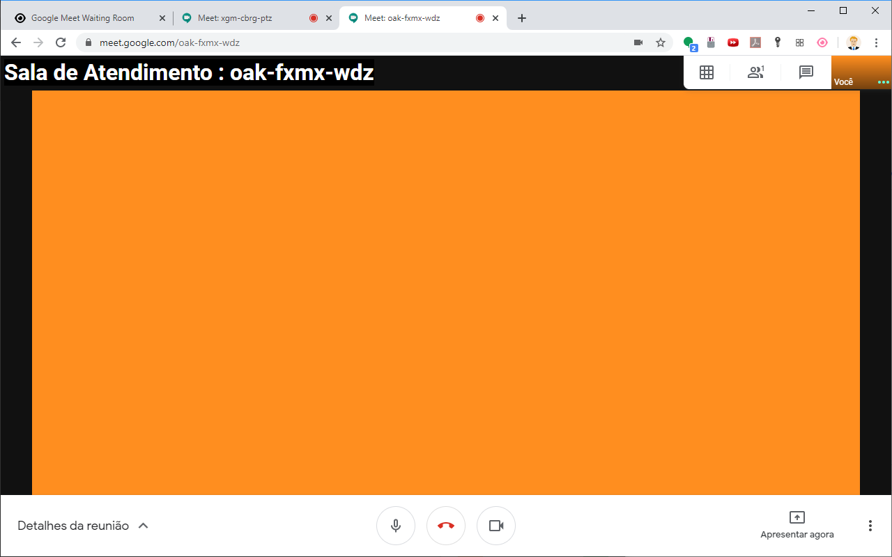 Google Meet Sala de Espera Preview image 4