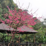 花岩山林花園餐廳