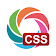 Learn CSS icon